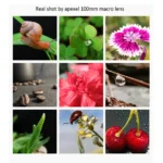 APEXEL camera phone lens 100mm macro lens 4K HD super macro lenses+CPL+star filter for iPhonex xs max Samsung s9 all smartphone - Image 3